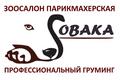 Зоосалон парикмахерская "Sобака"